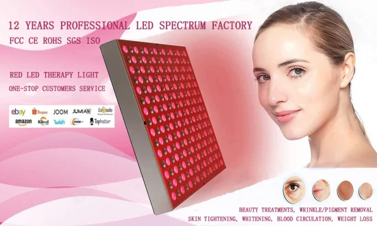 Dispositivo per terapia della luce LED rossa per terapia della luce di grado medico 660nm 850nm Dispositivo per terapia della luce LED rossa per trattamento di bellezza per la cura della pelle